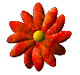 icqlogo.gif (4587 byte)